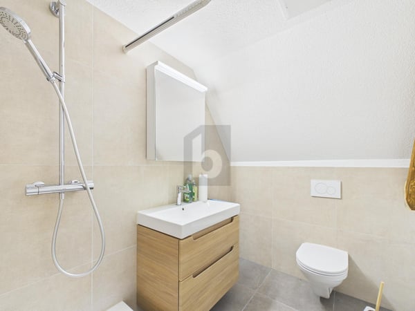 HOCHWERTIG UND KOMPLETT RENOVIERT 4