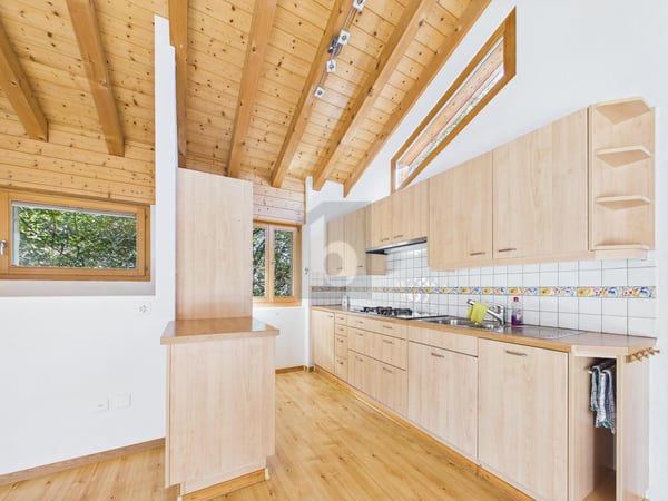 NATURPARADIS MIT WEITSICHT 3