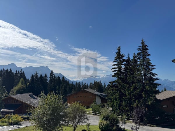 MEUBLÉ, ÉLÉGANCE ALPINE ET DOUCEUR DE VIVRE 2