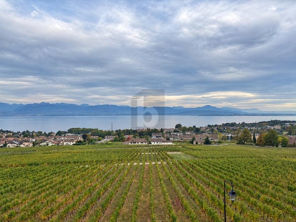 AVEC VUE PANORAMIQUE SUR LE LÉMAN 2