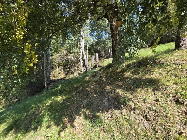 IN POSIZIONE SOLEGGIATA 4