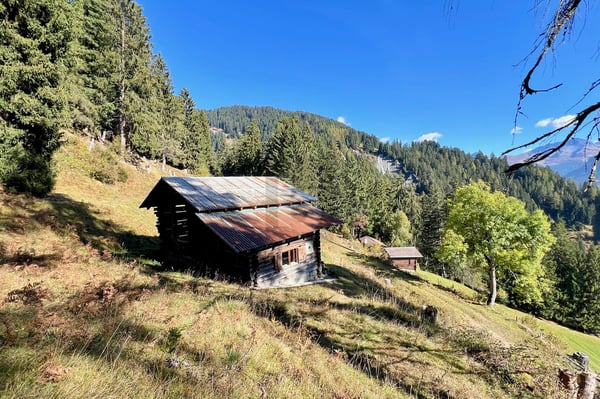 IDYLLISCHES MAIENSÄSS OBERHALB VON CASTIEL 1