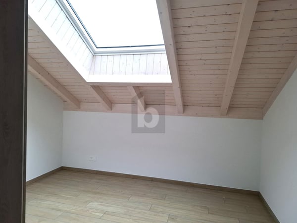 ATTIQUE NEUVE, SPACIEUSE, LUMINEUSE ET MODERNE 3