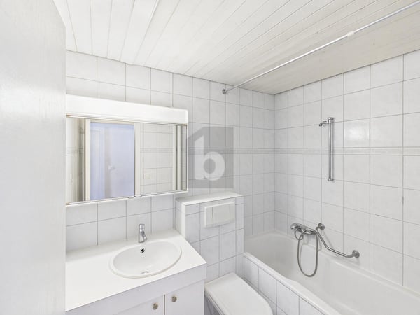ZENTRAL, MIT GROSSEM BALKON 4