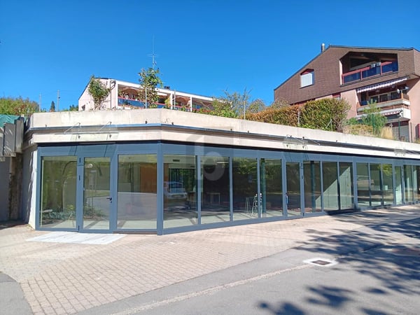 GRANDS ESPACES MODULABLES LUMINEUX ! 1