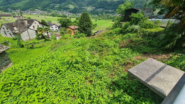 EDIFICABILE IN POSIZIONE SOLEGGIATA E CON VISTA APERTA 4