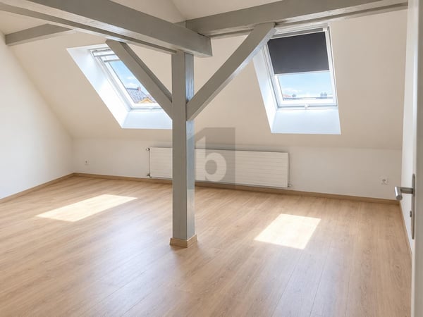 HABITATION AVEC ESPACE DE VIE LUMINEUX 5
