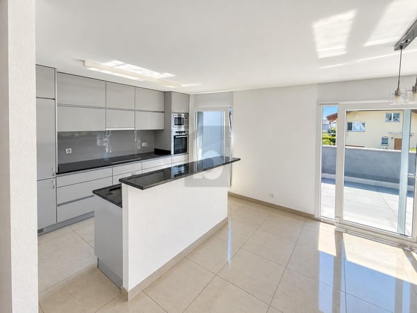 EXCEPTIONNEL AVEC UNE GRANDE TERRASSE 3
