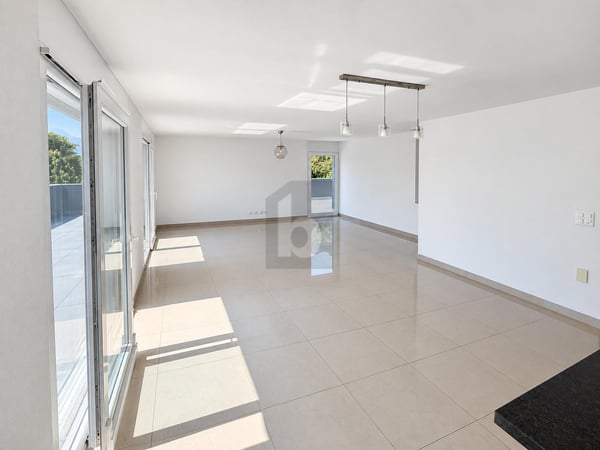 EXCEPTIONNEL AVEC UNE GRANDE TERRASSE 2