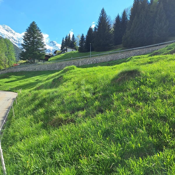 IN POSIZIONE TRANQUILLA E SOLEGGIATA CON VISTA 5