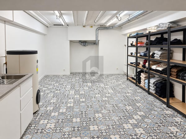 ARCADE COMMERCIALE AU COEUR DE GENÈVE 5