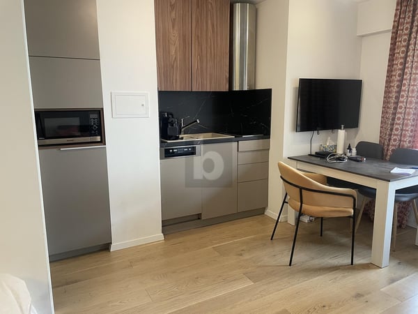 CENTRAL, MODERNE AVEC BEAUCOUP DE CHARME 2