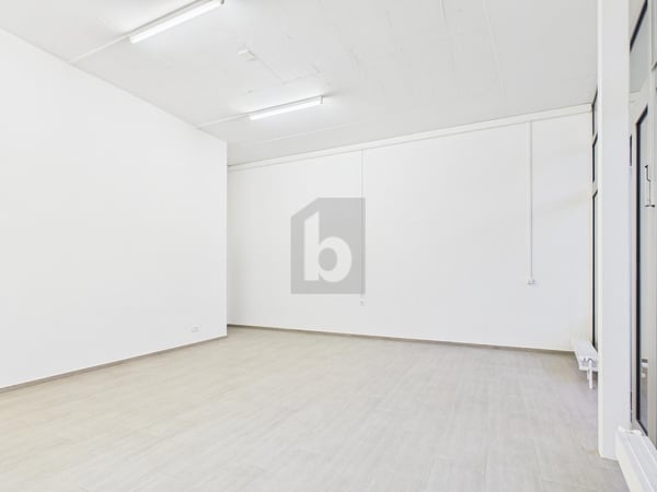 LICHTDURCHFLUTET UND VIELSEITIG 3