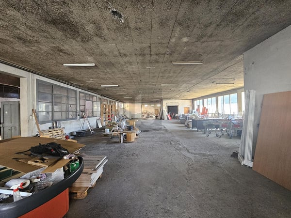 HALLE INDUSTRIELLE- POTENTIEL EXCEPTIONEL 3