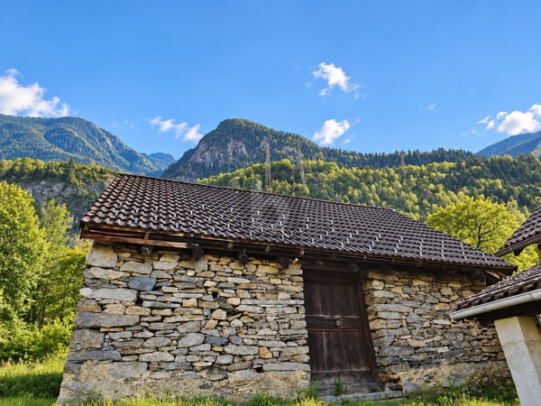 IN POSIZIONE TRANQUILLA, DA RISTRUTTURARE 3