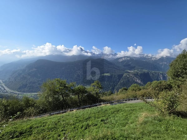 IN POSIZIONE SOLEGGIATA 3