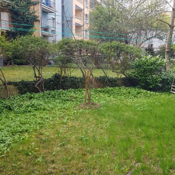 2 Zi. Altbau Wohnung im Gundeldinger Quartier 2