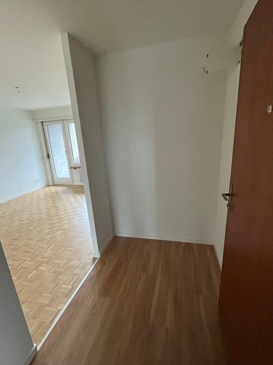 Praktische 1-Zimmerwohnung mit Balkon in Dietikon 4