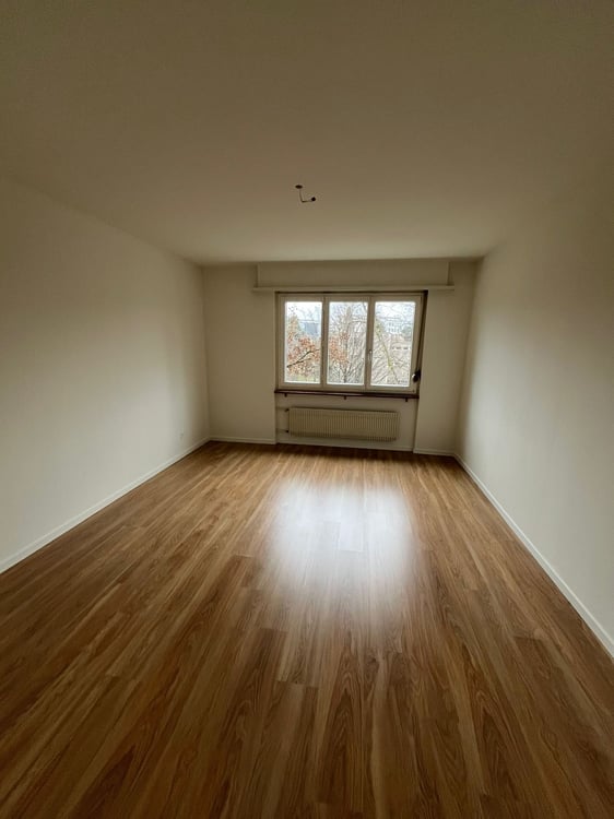 Praktische 1-Zimmerwohnung mit Balkon in Dietikon 7