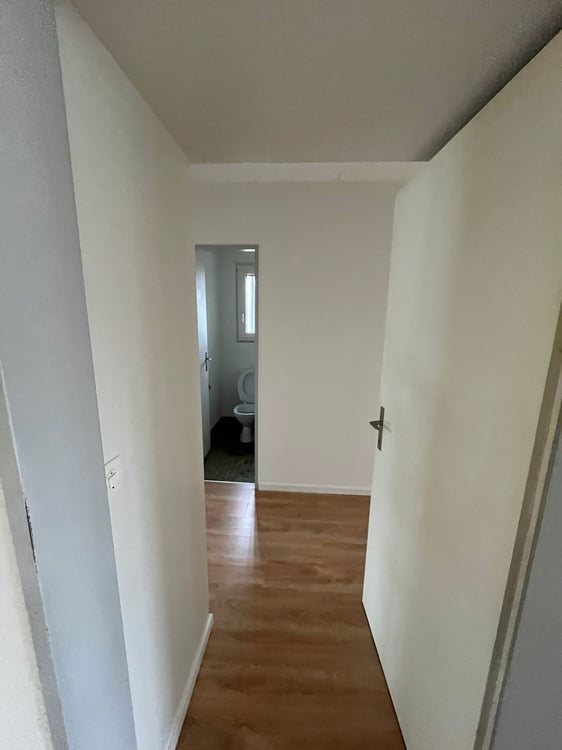 Praktische 1-Zimmerwohnung mit Balkon in Dietikon 3