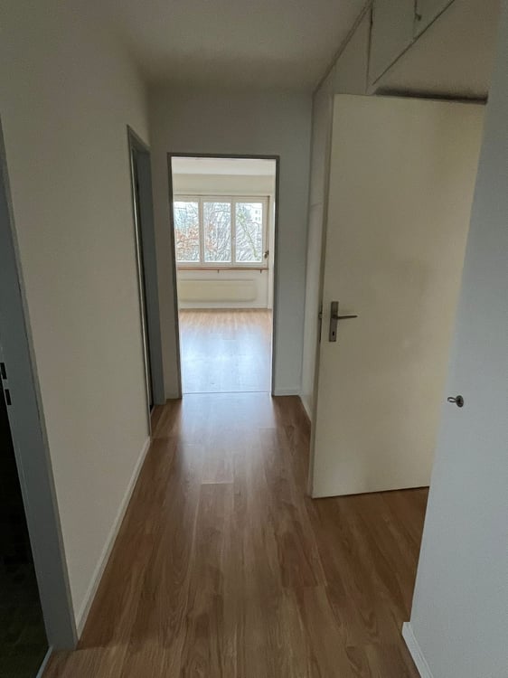 Praktische 1-Zimmerwohnung mit Balkon in Dietikon 2