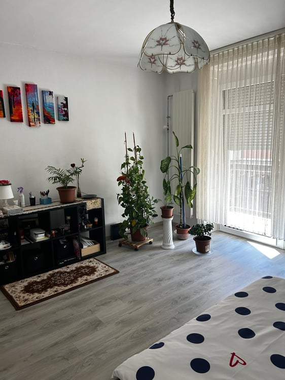 Geräumige, helle 1-Zimmer-Wohnung 5