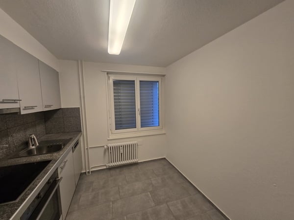 Attraktive und geräumige 1 Zi. Wohnung mit grossem Balkon, beim Untersee!! 2