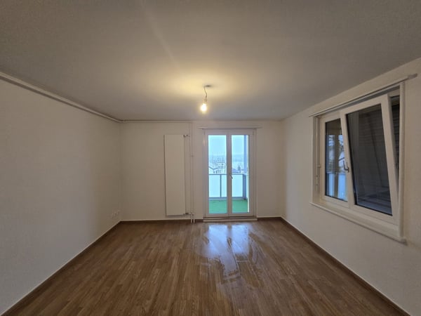 Attraktive und geräumige 1 Zi. Wohnung mit grossem Balkon, beim Untersee!! 6