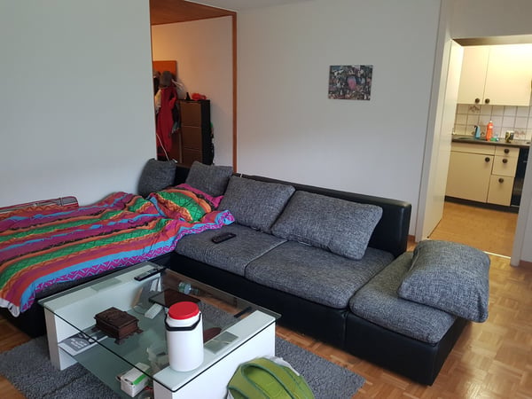 schöne und grosszügige 3 Zimmer-Wohnung 3