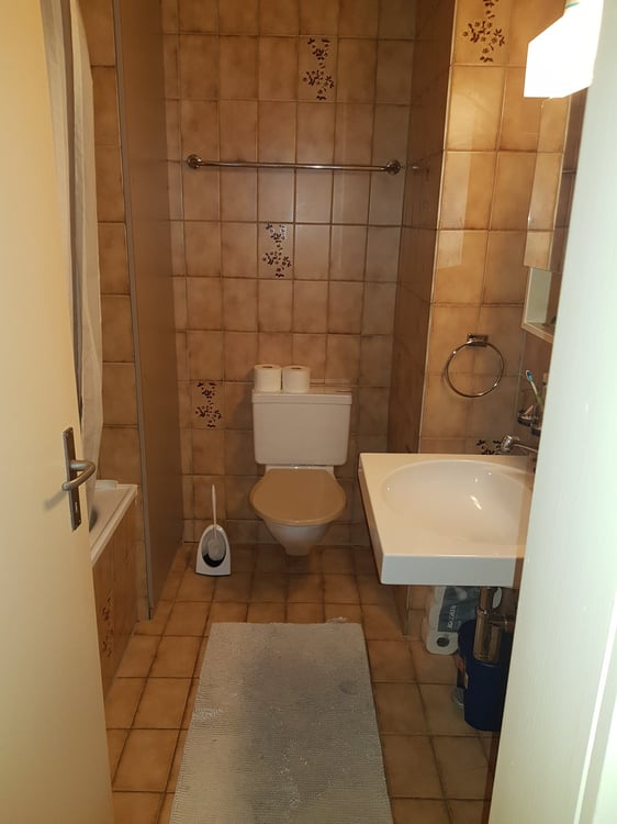 schöne und grosszügige 3 Zimmer-Wohnung 5