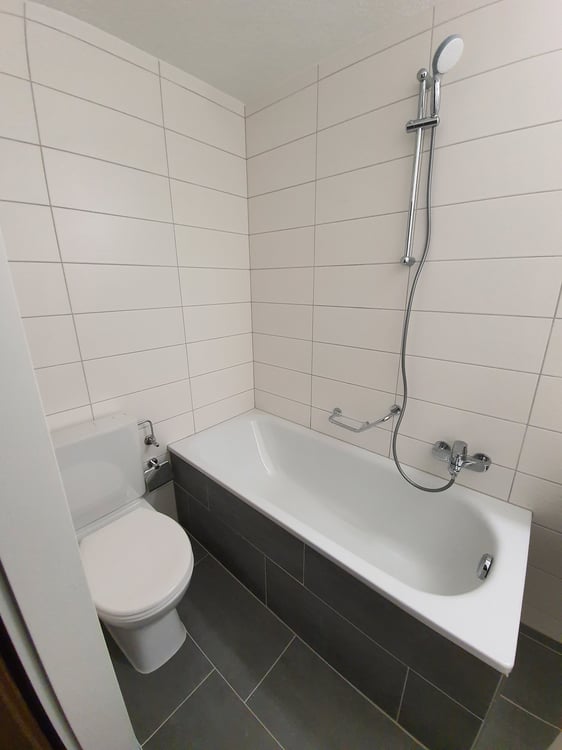 Renovierte, top-moderne 3-Zimmerwohnung zu vermieten! 4