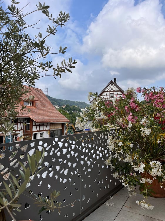 Traumwohnung an bester Wohnlage in kurzer Gehdistanz zum Rhein 3