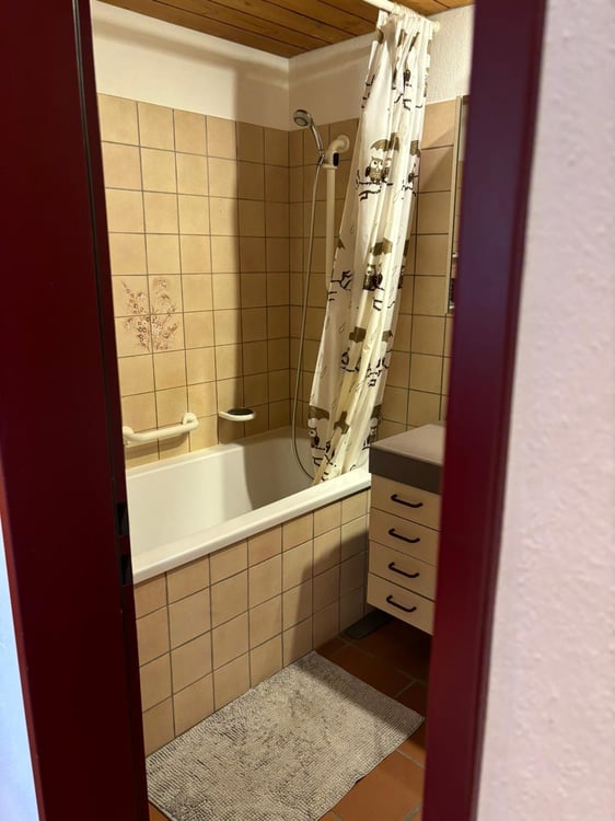 heimelige 3 Zimmerwohnung an zentraler Lage 6
