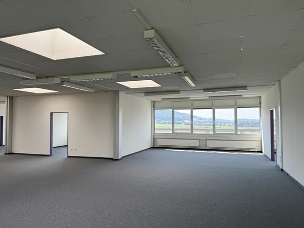 Stolze Gewerbeliegenschaft in Dällikon 5