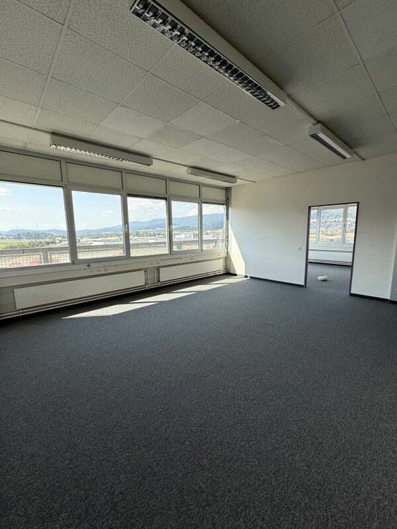 Stolze Gewerbeliegenschaft in Dällikon 6