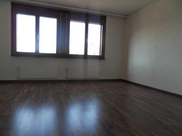 Gemütliche 1.5-Zimmer-Wohnung in Ebnat-Kappel – ruhige Lage mit bester Anbindung 2