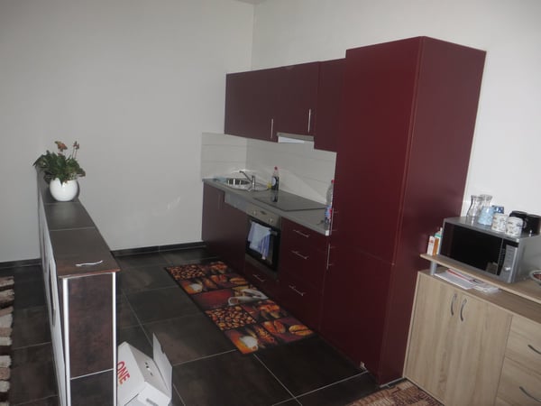 Gemütliche 2.5-Zimmer-Wohnung mit Balkon in Ebnat-Kappel 4