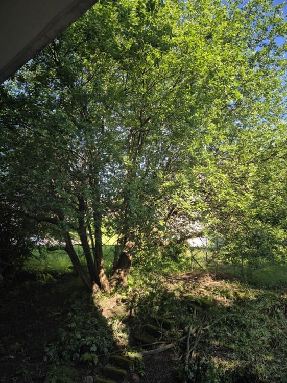 Gepflegte 1 ZWG in St. Gallen 12