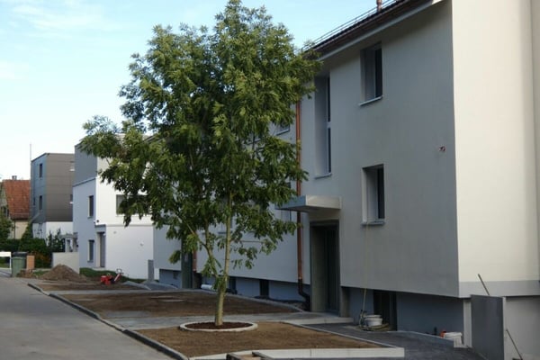 Frisch renovierte Dachwohnung nach umfassender Liegenschaftssanierung 1