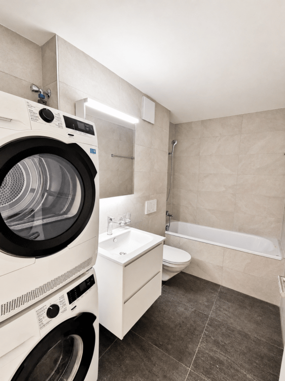 neu renovierte 1.5 Zimmerwohnung 10