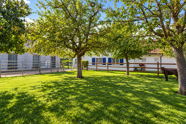 Ihr Traum vom Landleben: Exklusives Landhaus mit Pferdestall & Weite. 6