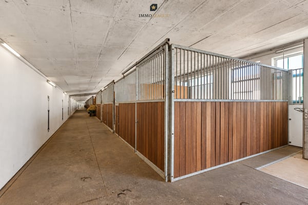Reitsportzentrum - ein Anwesen für Pferde, Menschen und grosse Ideen. 9