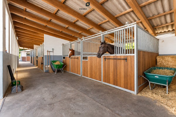 Reitsportzentrum - ein Anwesen für Pferde, Menschen und grosse Ideen. 10