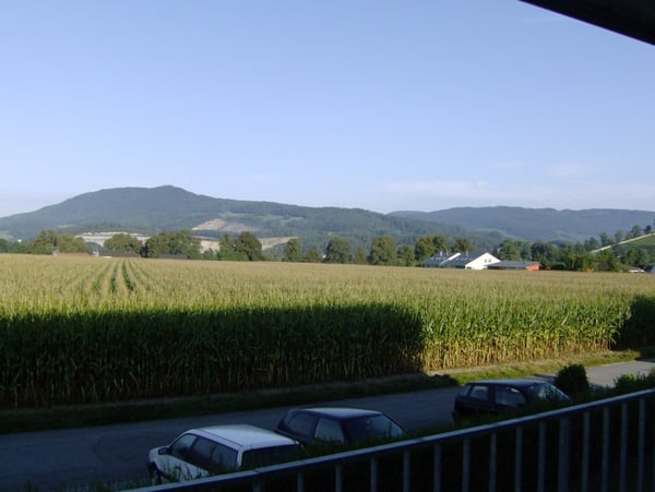 Grosszügige 41/2 Zimmer Wohnung mit Blick in den Jura 2