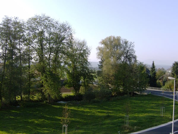 Helle 3.5 Zimmer Wohnung mit grossem, sonnigem Balkon 2