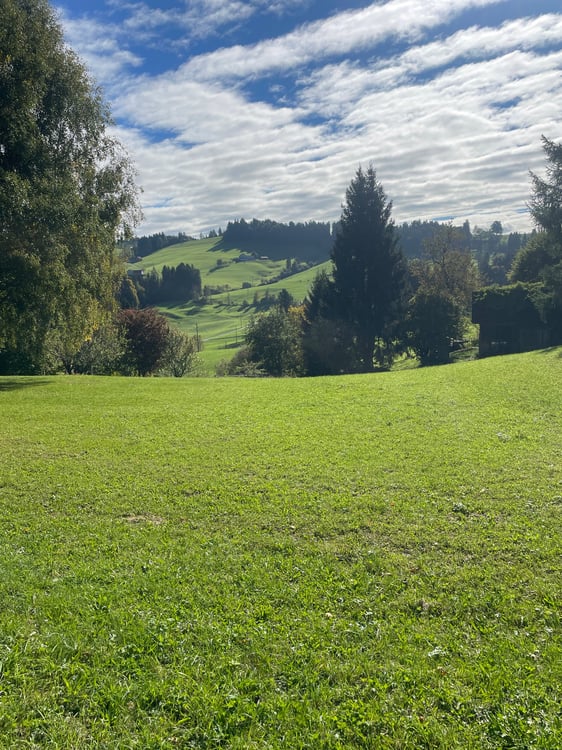 Schickes modernes 2-Zi.-Einfamilienhaus an privilegierter Aussichtslage in Teufen 2