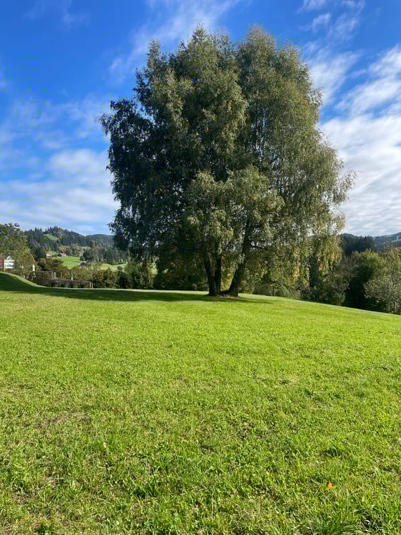 Schickes modernes 2-Zi.-Einfamilienhaus an privilegierter Aussichtslage in Teufen 3