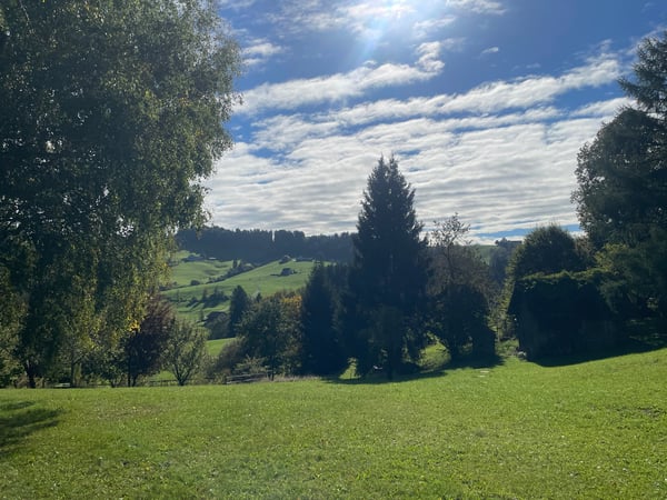 Schickes modernes 2-Zi.-Einfamilienhaus an privilegierter Aussichtslage in Teufen 1