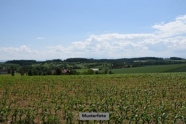 *Acker, Wiese* 1