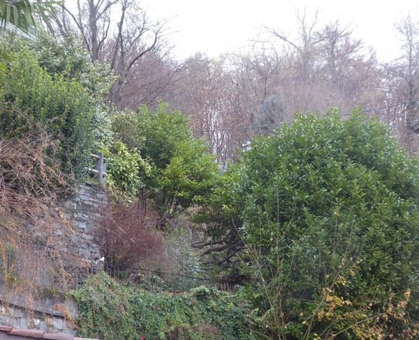*Bosco, prato/campo* 3